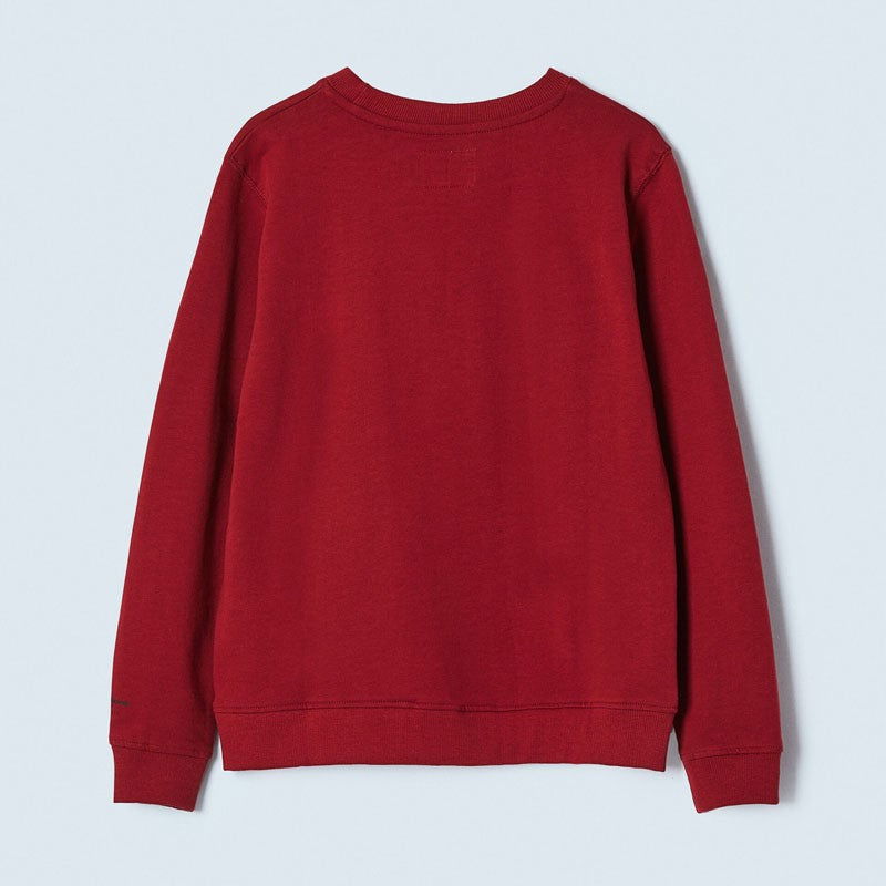 Pepe Jeans Bluza z literami 3d JAMESON junior chłopak PB581346-287 CURRANT -  - #tag1# - #tag2# - #tag3# - #tag4#